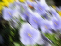 Linear Blur